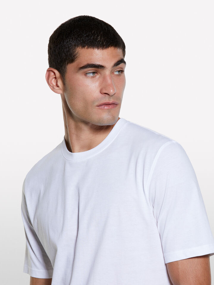 White regular fit short sleeve t-shirt - men's short sleeve t-shirts - White | Sisley image number 4